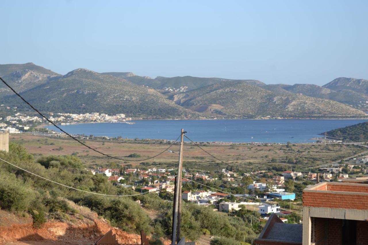 "Stergiou Luxury Apartments" Με Κοινη Πισινα Saronida Ngoại thất bức ảnh